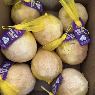 Coconut Sport Macapuno/ Dừa Sáp
